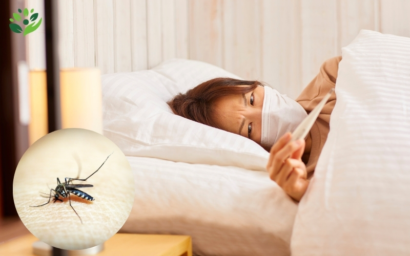 bệnh thường gặp