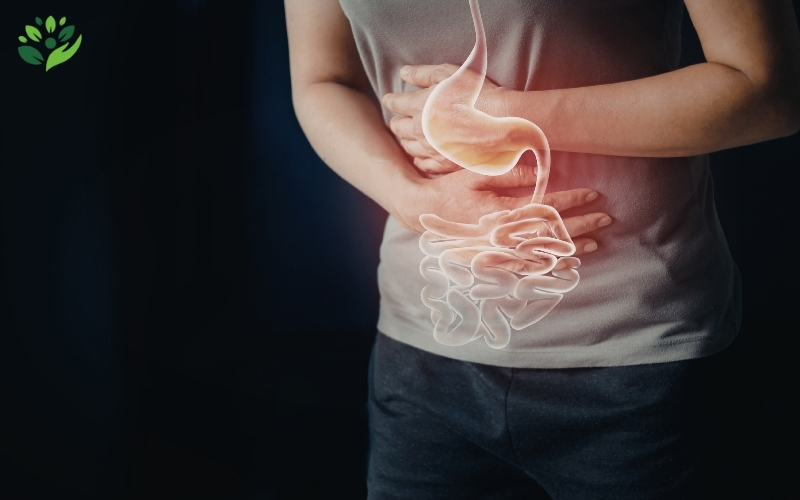 bệnh thường gặp