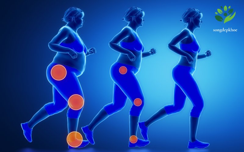 giảm cân an toàn