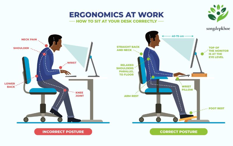Mẹo Sống Khỏe Cho Dân Văn Phòng Ngồi Nhiều