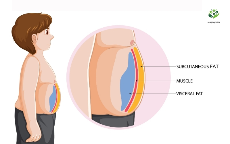 bài tập giảm mỡ