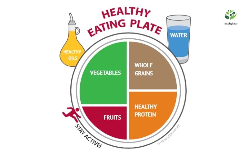 chế độ ăn cân bằng