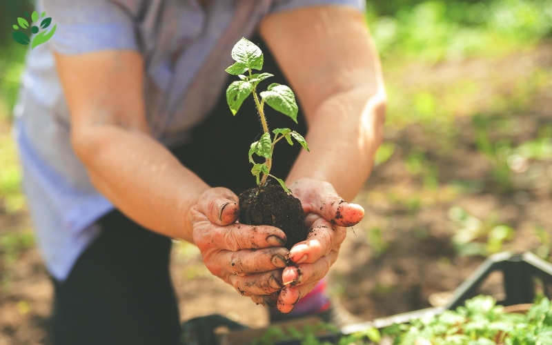 mẹo chăm sóc sức khỏe