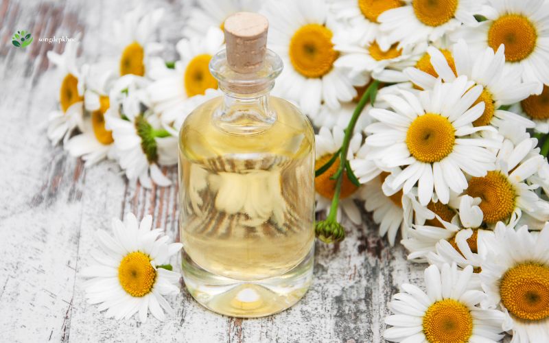 review sản phẩm sức khỏe