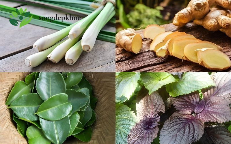 Mẹo dân gian trị cảm cúm