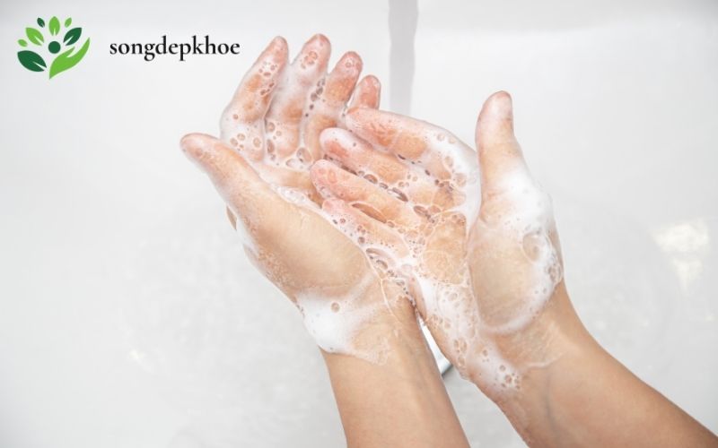 cách phòng chống dịch bệnh