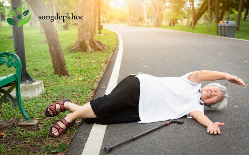 chăm sóc sức khỏe người cao tuổi