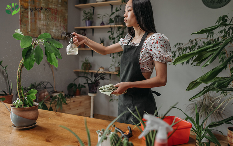 mẹo chăm sóc nhà cửa