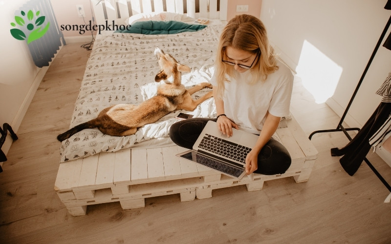 thói quen tốt cho sức khỏe