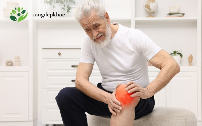 sức khỏe người cao tuổi