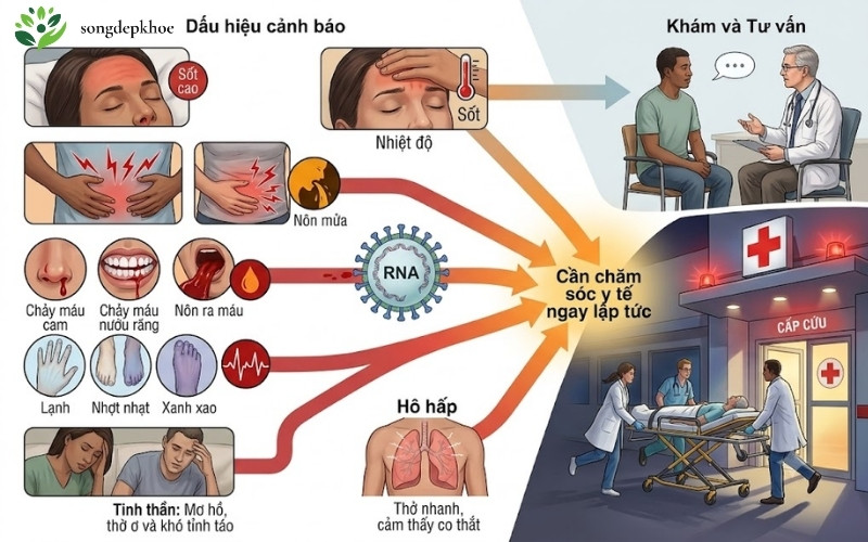 triệu chứng nguy hiểm cần khám ngay